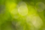 Green Bokeh Abstract Stock Photo