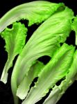 Lettuce Leaves Over Black Stock Photo