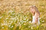 Blond Girl On The Camomile Field Stock Photo