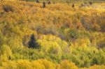 Colorado Autumn Stock Photo