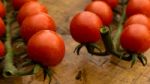 Cherry Tomatoes On Display On Wooden Chopping Board And Wooden Table Stock Photo