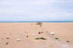 Waste On The Beach Stock Photo