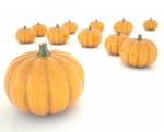 Pumpkins Stock Photo