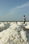 Man In Salt Field Stock Photo