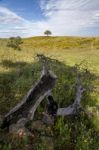 Rural Countryside Stock Photo