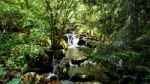 Waterfall Of Wild Place In Vitosha Mountain, Bulgaria Stock Photo