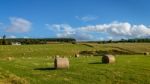 Farm Near Culloden Stock Photo