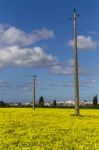 Spring Countryside Landscape Of Yellow Flowers Stock Photo