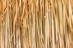 Texture Of Straw Stock Photo