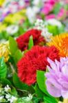 Bouquet Of Colorful Flowers Stock Photo