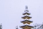 Falling Snow At Stone Statue In A Winter With Snow Covered Trees Stock Photo