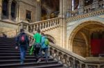 Staircase At The Natural History Museum In London Stock Photo