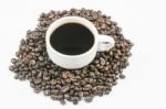 White Cup Of Coffee On Beans Stock Photo