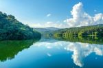 Landscape Of The Dam And Lake On The Mountain With Tree And Forest Stock Photo