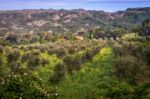 Farming In Tuscany Stock Photo