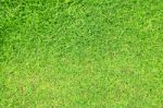 Green Grass Stock Photo