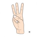 Sign Language And The Alphabet,the Letter W Stock Photo