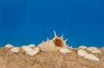 Minimalist Background Representing The Summer With Snails Clams Goggles And Sand On Celestial Stock Photo