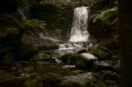 Horseshoe Falls In Mount Field National Park Stock Photo