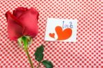 Red Rose With Message Card Image Of Valentines Day Stock Photo