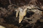 Stalactite At White Scar Caves Stock Photo