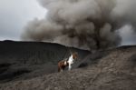 Mount Bromo Stock Photo