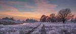 Frosty Winter Sunrise Stock Photo