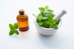 Natural Mint Essential Oil In A Glass Bottle With Fresh Mint Lea Stock Photo