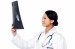 Female Doctor Looking At Scanned X-ray Report Stock Photo