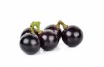 Black Grape Isolated On The White Background Stock Photo