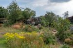 Scenic View Of Brimham Rocks In Yorkshire Dales National Park Stock Photo