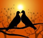 Love Birds Represents Heart Compassion And Boyfriend Stock Photo