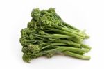 Broccoli Stock Photo