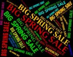 Big Spring Sale Indicating Bargains Discounts And Text Stock Photo