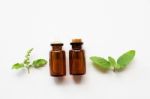 Holy Basil Essential Oil With  Fresh Leaves Stock Photo