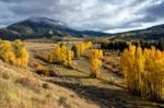 Autumn Colours In Wyoming Stock Photo