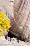 The White House Canyon De Chelly Stock Photo