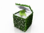 Cube With Grass Flowers And Tree Stock Photo