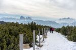 Couple Walking On The Alp In Rinderplatz Pasture In South Tyrol Stock Photo