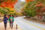 Naejangsan,korea - November 1: Tourists Taking Photos Of The Beautiful Scenery Around Naejangsan Park,south Korea During Autumn Season On November 1, 2015 Stock Photo