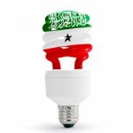 Flag Of Somaliland On Bulb Stock Photo