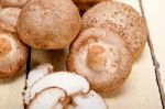 Shiitake Mushrooms Stock Photo