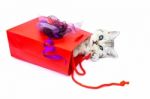 Young Cat Lying In Red Bag With Decoration Stock Photo