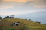 
View, Scenery, Evening Stock Photo