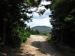 Trail In The Mountains Stara Planina, Bulgaria Stock Photo