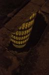 Tower Of Pisa Reflected In A Waterhole Stock Photo