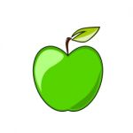 Green Apple  Stock Photo