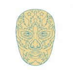 Luchador Lucha Libre Mask Stock Photo