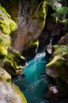 Avalanche Creek Stock Photo