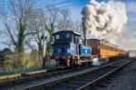 Bluebell Leaving Sheffield Park Station Stock Photo